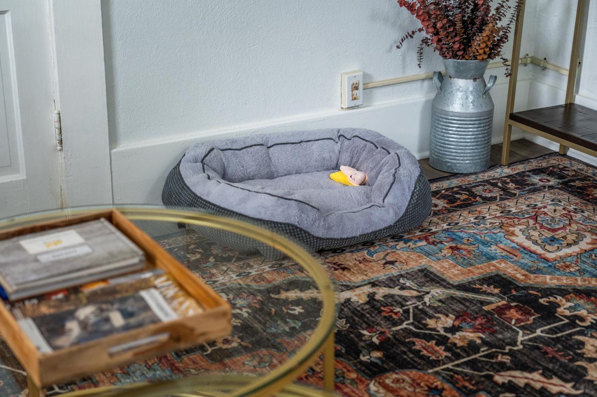 Cedar Blossom Bungalow Is A Cozy Getaway With A 5 Minute Walk To Downtown! ホット・スプリングス エクステリア 写真
